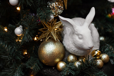 Similar image 21638306