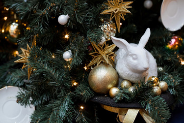 Similar image 21638308