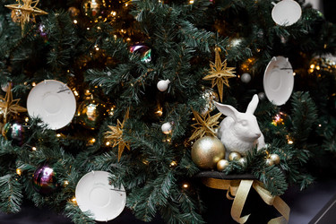 Similar image 21638311