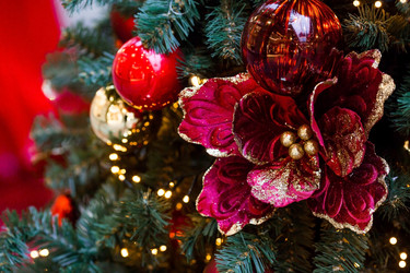 Similar image 21646883