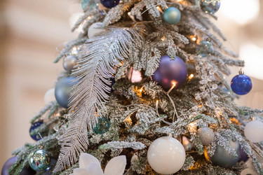 Similar image 21638322