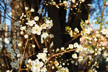 Similar image 21632180