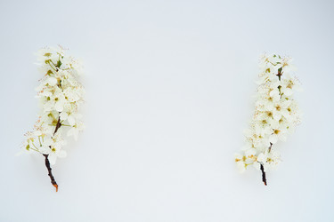 Similar image 21632186