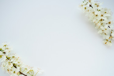 Similar image 21632187