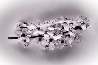 Similar image 21632190