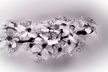 Similar image 21632191