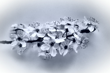 Similar image 21632192