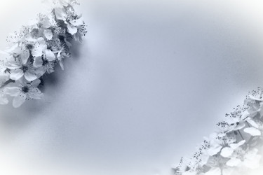 Similar image 21632193