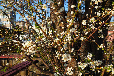 Similar image 21632207