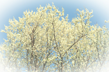 Similar image 21632211