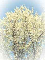 Similar image 21632212