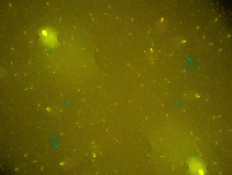 Similar image 21637401