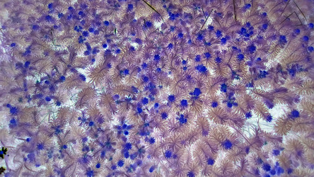 Similar image 21632384