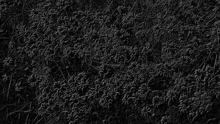 Similar image 21632386