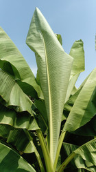 Similar image 21632395