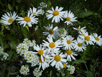 Similar image 21632397