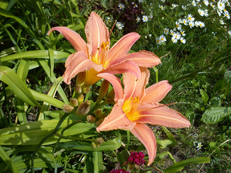 Similar image 21632399