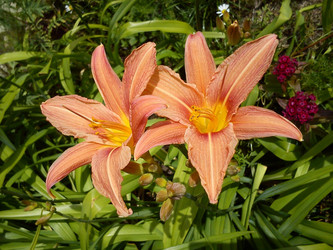 Similar image 21632401