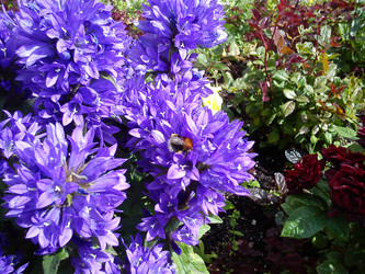 Similar image 21632407