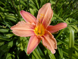 Similar image 21632409