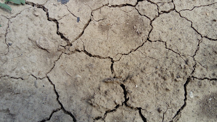 Similar image 21632410