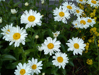 Similar image 21632413