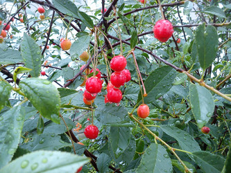 Similar image 21632415