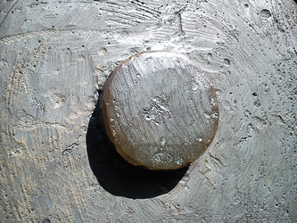 Similar image 21631849