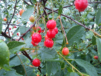 Similar image 21631852