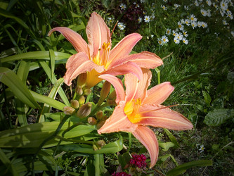 Similar image 21631859