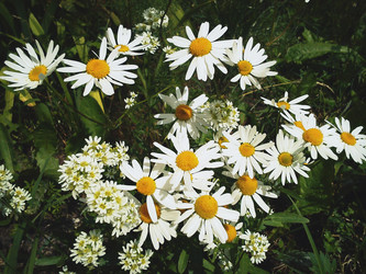 Similar image 21631861