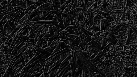 Similar image 21631864