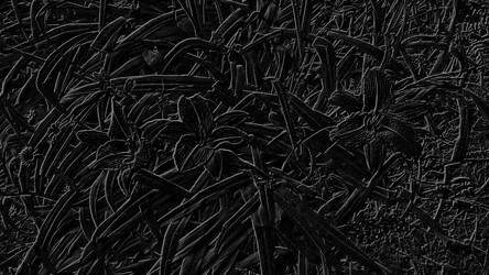 Similar image 21632218