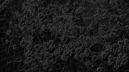 Similar image 21632224