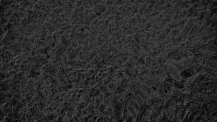 Similar image 21632228