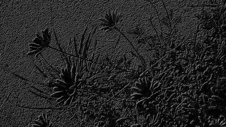 Similar image 21632230