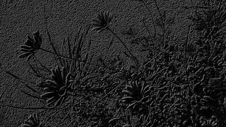 Similar image 21632231