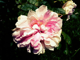 Similar image 21632252