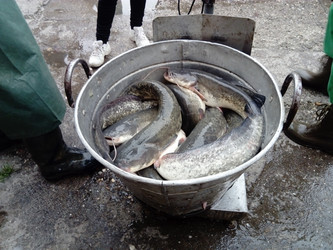 Similar image 21632293