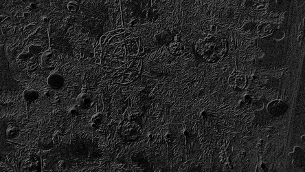 Similar image 21632303