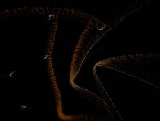 Similar image 21637559