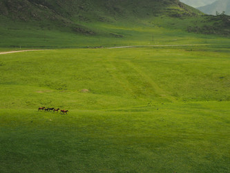 Similar image 21633618