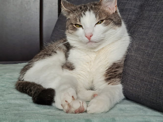 Similar image 21633619