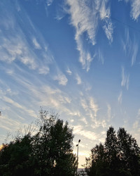 Similar image 21633622