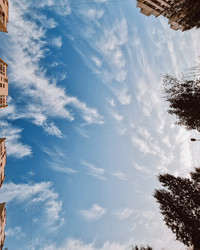 Similar image 21633623