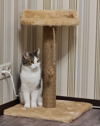 Similar image 21633624