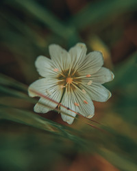 Similar image 21633631