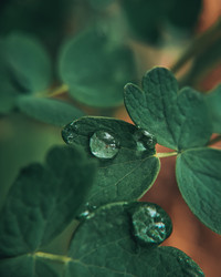 Similar image 21633634