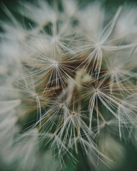 Similar image 21633635