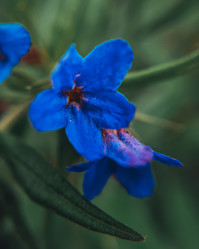 Similar image 21633636